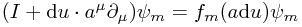 (I + \mathrm{d}u \cdot a^\mu \partial_\mu) \psi_m = f_m(a \mathrm{d}u) \psi_m